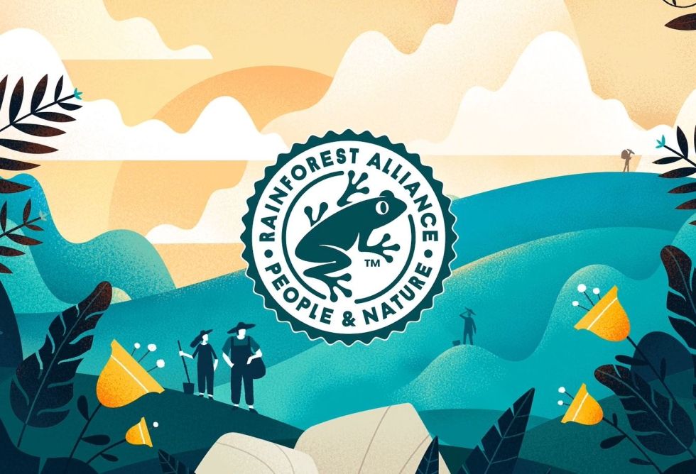 <span>UTZ en Rainforest Alliance bundelen hun krachten </span>