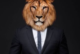 Voeg wat LION toe aan je werkende leven
