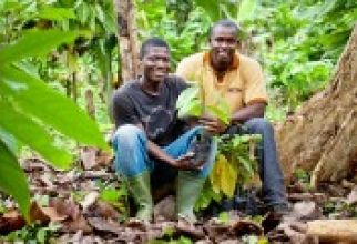 KITKAT eerste wereldwijde chocolademerk die 100% duurzame cacao i...