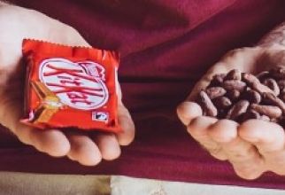 KITKAT koopt wereldwijd 100% duurzame cacao in
