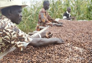 Betere landbouw | Nestlé Cocoa Plan
